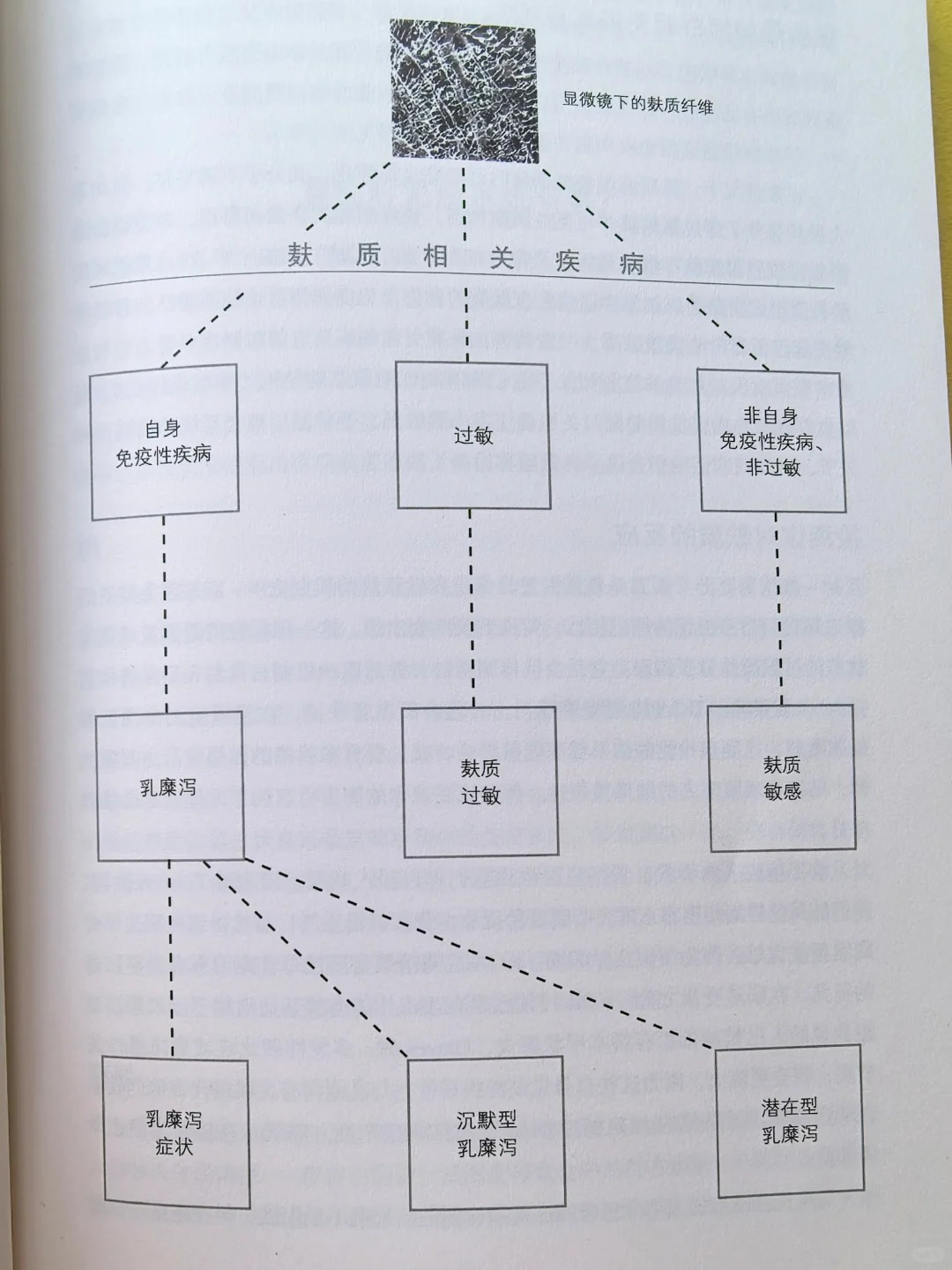麸质和抑郁症的关系