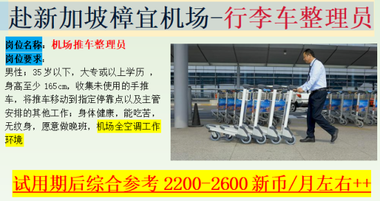 赴新加坡樟宜机场-行李车整理员