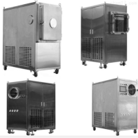 Pilot T系列诊断试剂冻干机厂家推荐——蓓迪（北京）科技