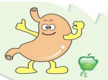 饮食与养生｜饿是一种养生方法