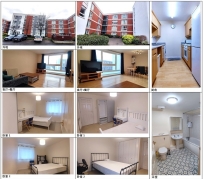 Hanson Park 2B1B 小区公寓出租【已租】