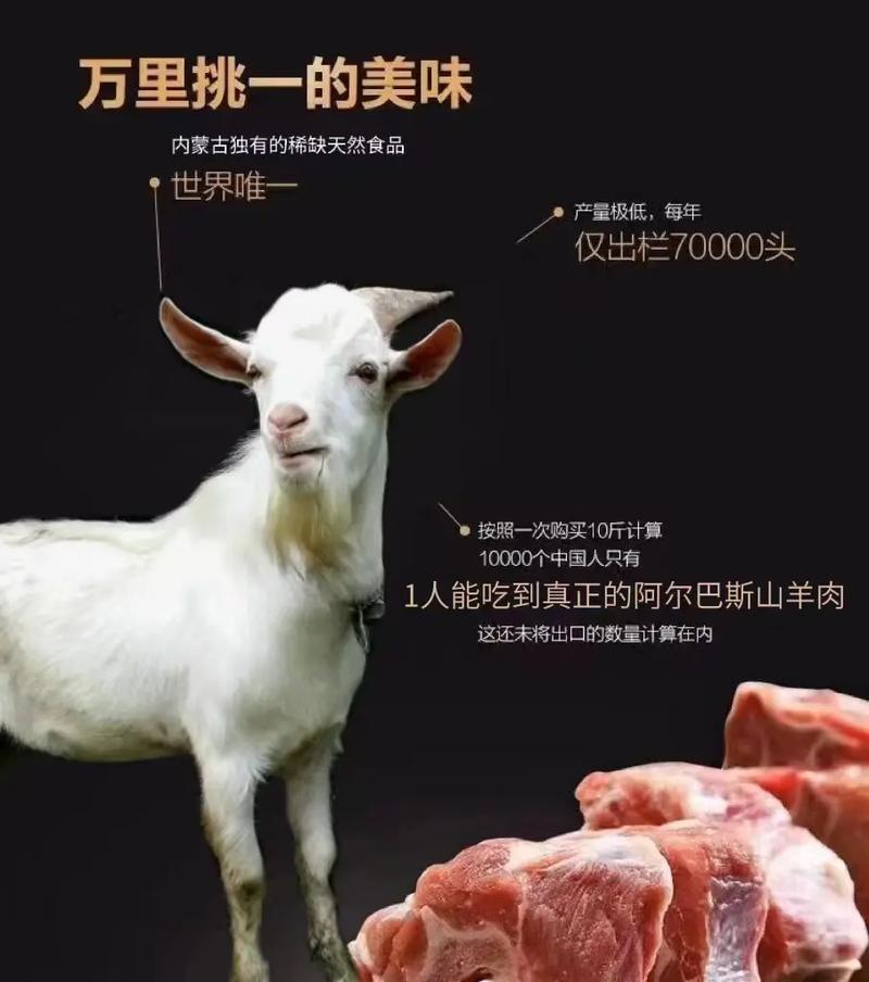 4915dd476e5d46fd349e1d89b723d10e.jpeg